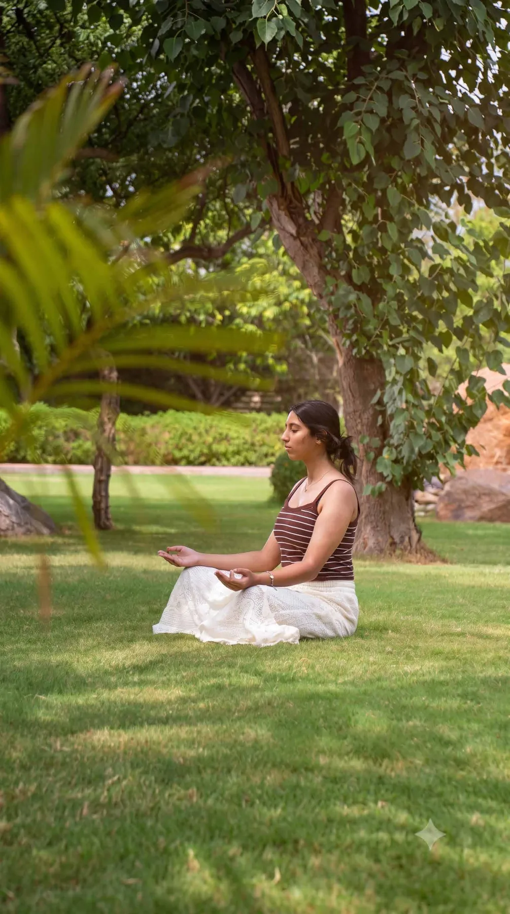 Meditation on the lawn under the trees